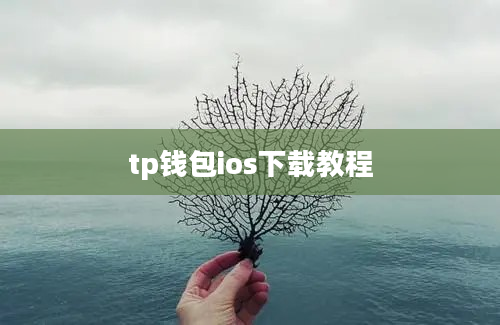 tp钱包ios下载教程