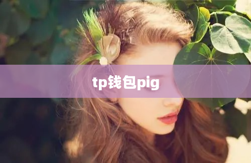 tp钱包pig