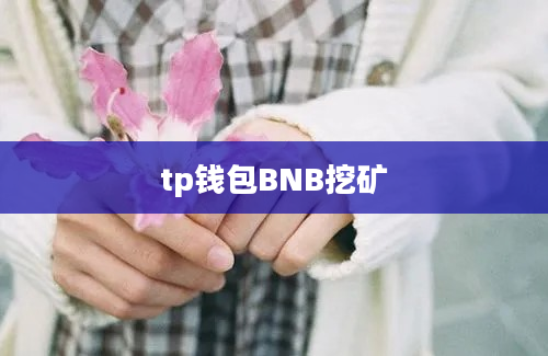 tp钱包BNB挖矿