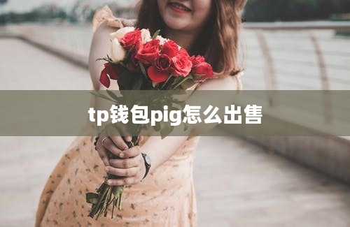 tp钱包pig怎么出售