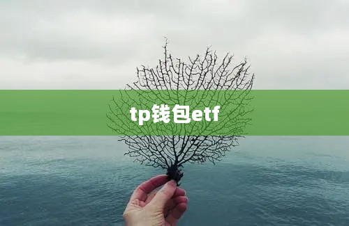 tp钱包etf