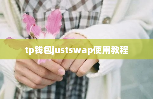 tp钱包justswap使用教程