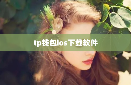 tp钱包ios下载软件