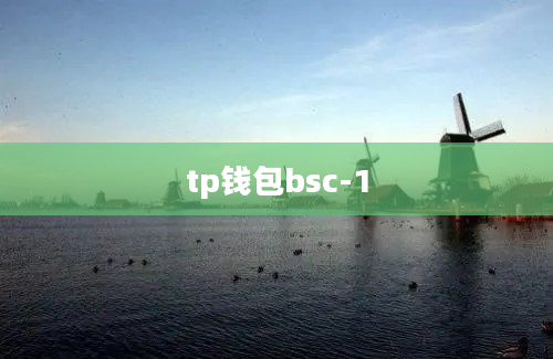 tp钱包bsc-1