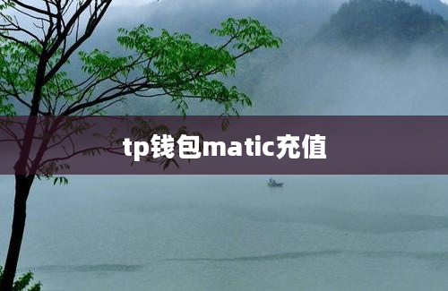 tp钱包matic充值