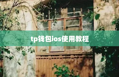 tp钱包ios使用教程