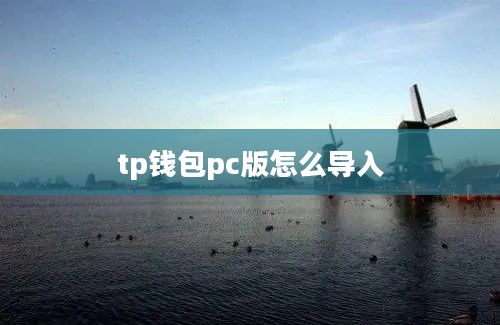 tp钱包pc版怎么导入