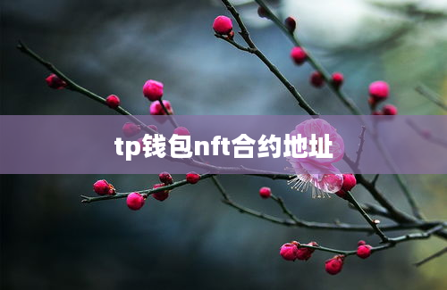 tp钱包nft合约地址
