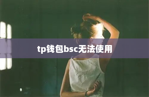 tp钱包bsc无法使用