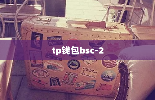 tp钱包bsc-2