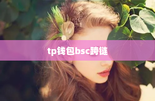 tp钱包bsc跨链