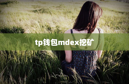 tp钱包mdex挖矿