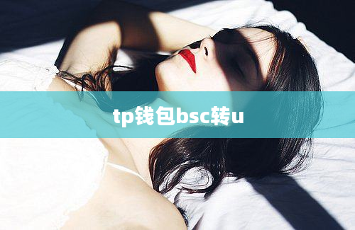 tp钱包bsc转u