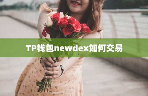 TP钱包newdex如何交易