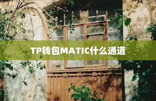 TP钱包MATIC什么通道