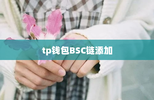 tp钱包BSC链添加