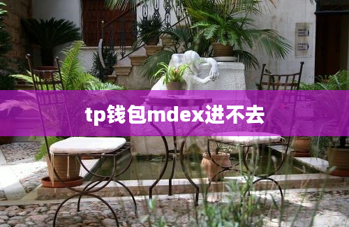 tp钱包mdex进不去