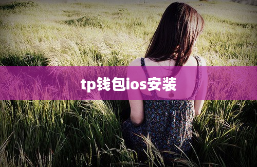 tp钱包ios安装