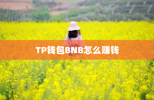 TP钱包BNB怎么赚钱