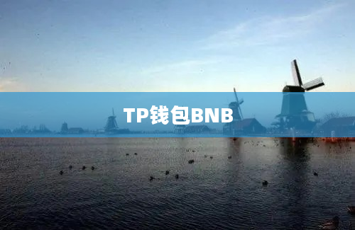 TP钱包BNB