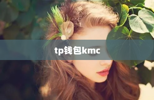 tp钱包kmc