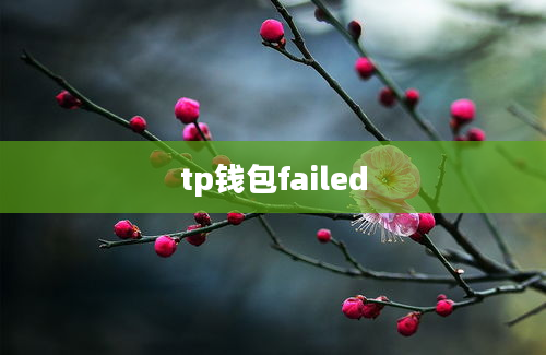 tp钱包failed