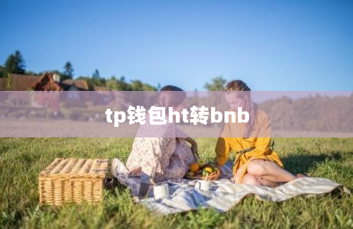 tp钱包ht转bnb