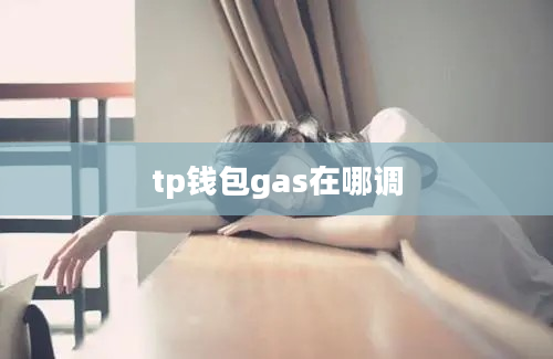 tp钱包gas在哪调