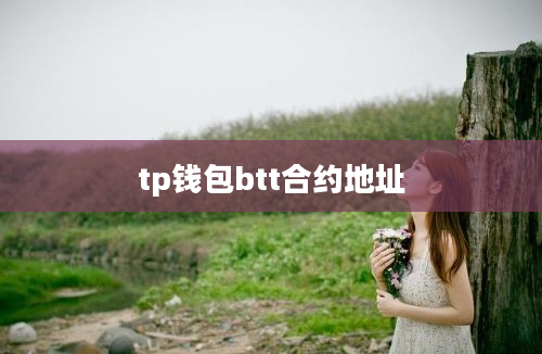 tp钱包btt合约地址