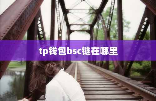 tp钱包bsc链在哪里