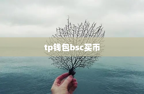 tp钱包bsc买币