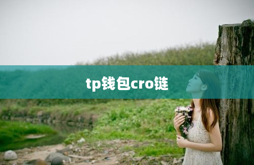 tp钱包cro链