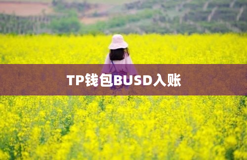TP钱包BUSD入账