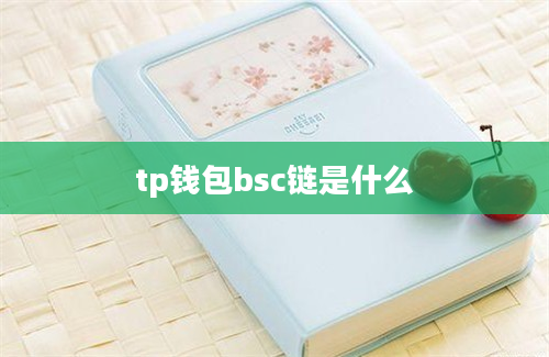 tp钱包bsc链是什么