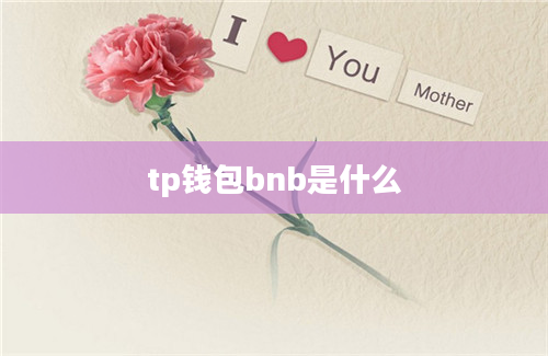 tp钱包bnb是什么