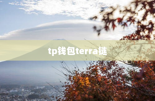 tp钱包terra链