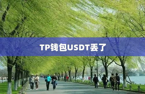 TP钱包USDT丢了