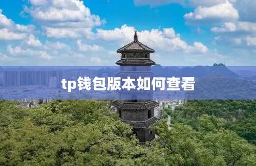 tp钱包版本如何查看