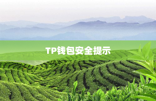 TP钱包安全提示