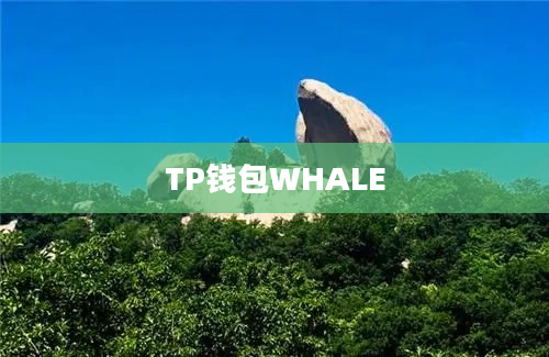 TP钱包WHALE