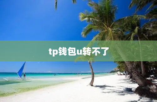 tp钱包u转不了