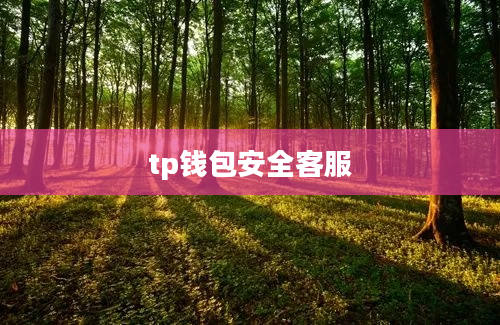 tp钱包安全客服