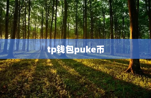 tp钱包puke币