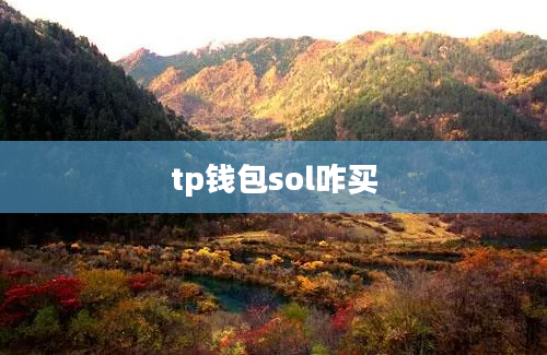 tp钱包sol咋买