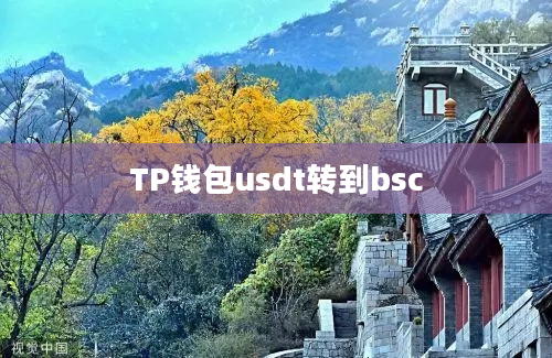 TP钱包usdt转到bsc