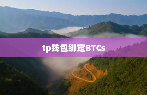 tp钱包绑定BTCs