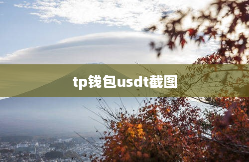 tp钱包usdt截图