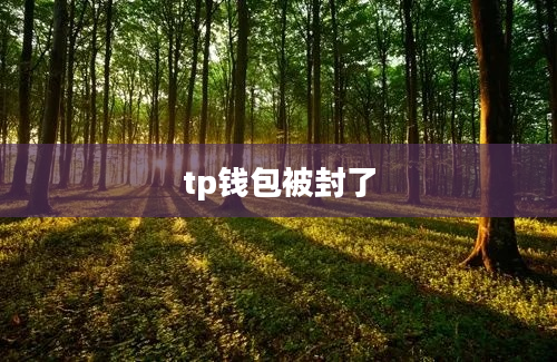 tp钱包被封了