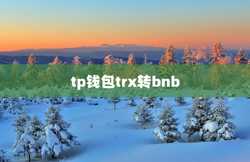 tp钱包trx转bnb