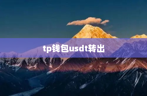 tp钱包usdt转出